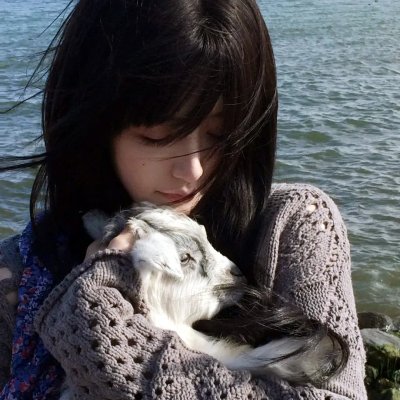 绿萝花